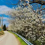 Casello A1 Modena Sud - Nido Sui Laghi Couette-café San Donnino della Nizzola