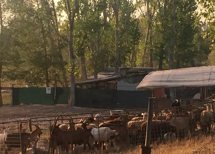 Casello A1 Modena Sud - Nido Sui Laghi San Donnino della Nizzola