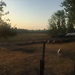 Frühstückspension Casello A1 Modena Sud - Nido Sui Laghi San Donnino della Nizzola