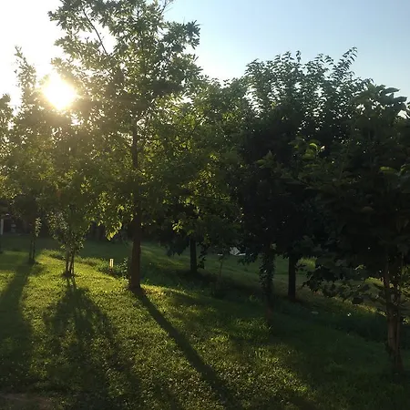 Casello A1 Modena Sud - Nido Sui Laghi Bed & Breakfast San Donnino della Nizzola