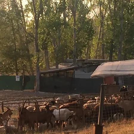 Casello A1 Modena Sud - Nido Sui Laghi San Donnino della Nizzola