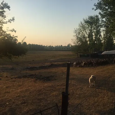 B&B Casello A1 Modena Sud - Nido Sui Laghi San Donnino della Nizzola