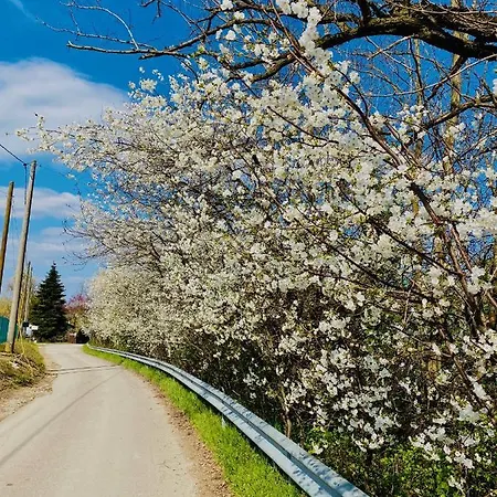 Casello A1 Modena Sud - Nido Sui Laghi Bed & Breakfast San Donnino della Nizzola
