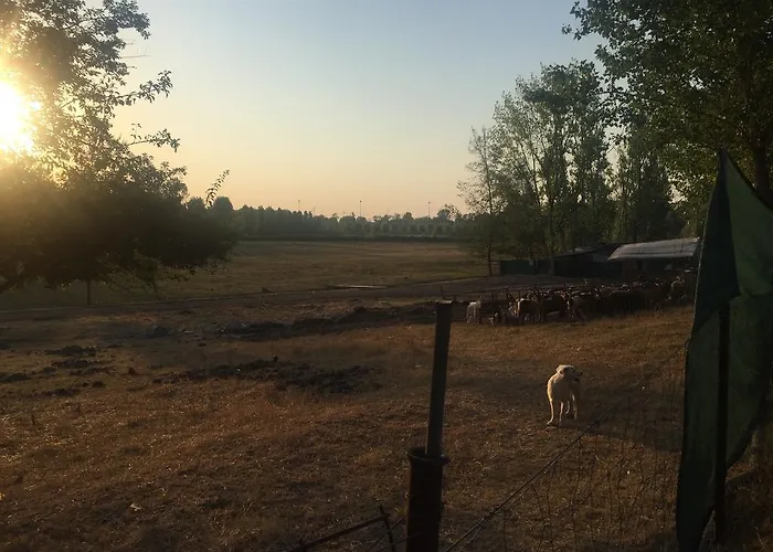 Bed & Breakfast Casello A1 Modena Sud - Nido Sui Laghi San Donnino della Nizzola