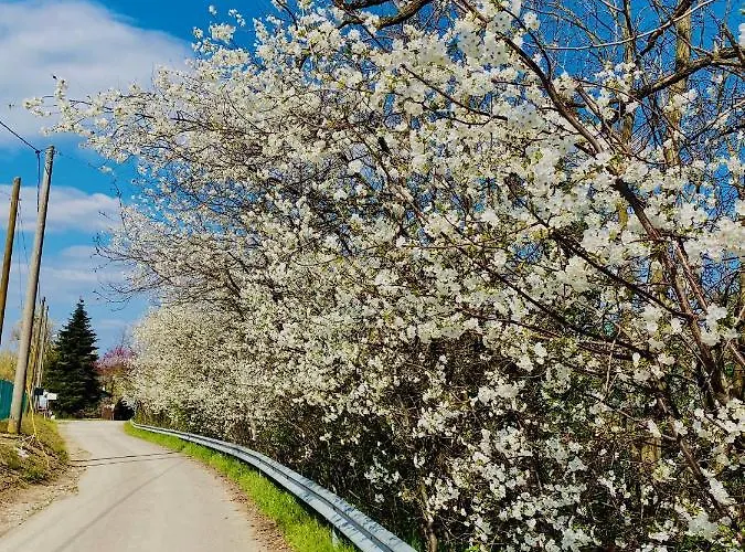 Casello A1 Modena Sud - Nido Sui Laghi Couette-café San Donnino della Nizzola